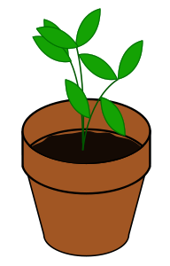 PlantTerracottaofpositive